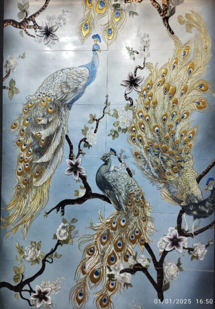 peacocks look